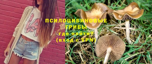 СК Заволжск