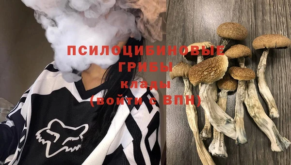 СК Заволжск