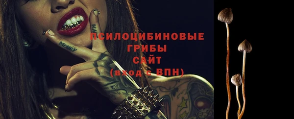 СК Заволжск