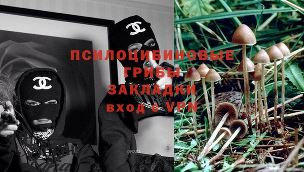 винт Заволжье