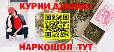 мдпв Гатчина