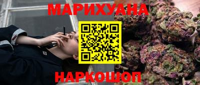 мдпв Гатчина