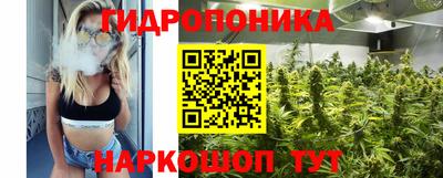 мдпв Гатчина