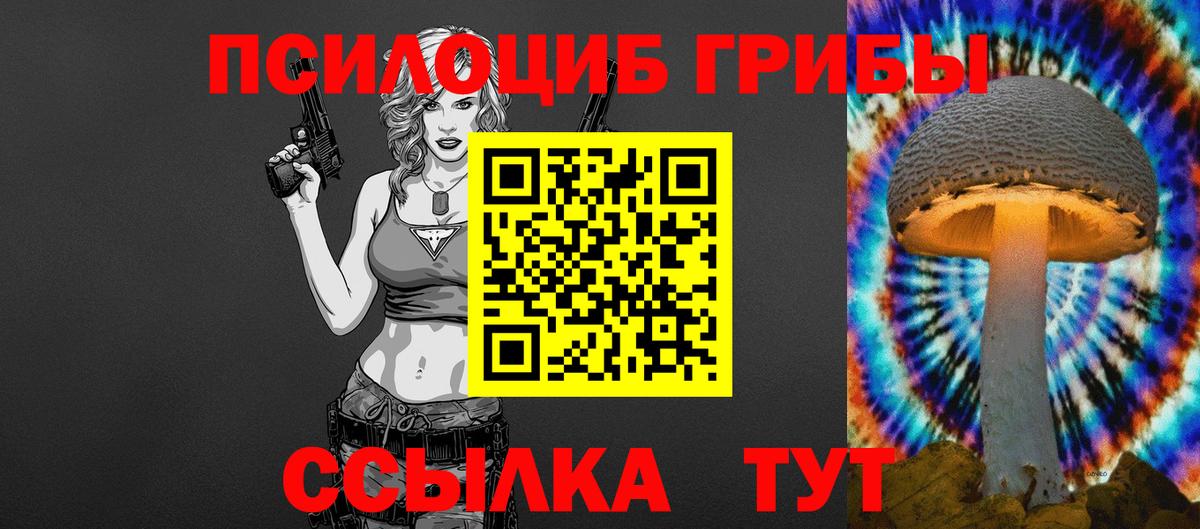 Псилоцибиновые грибы прущие грибы Кимовск