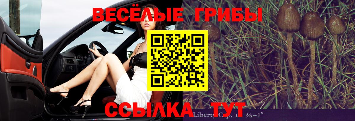 Кимовск  Галлюциногенные грибы мухоморы  Вход с VPN 